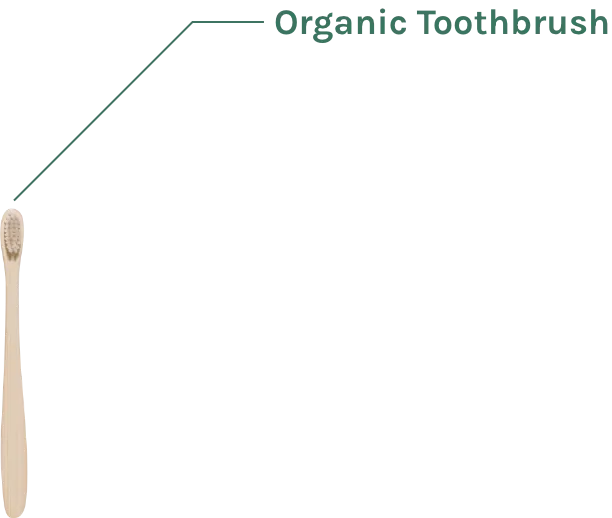 organic ToothBrush